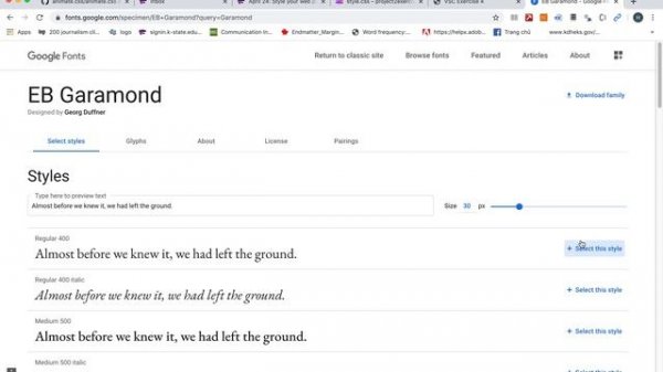 How to select a font family from Google Fonts