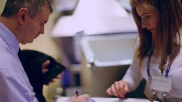 МИР КЛИМАТА 2017 смотреть онлайн