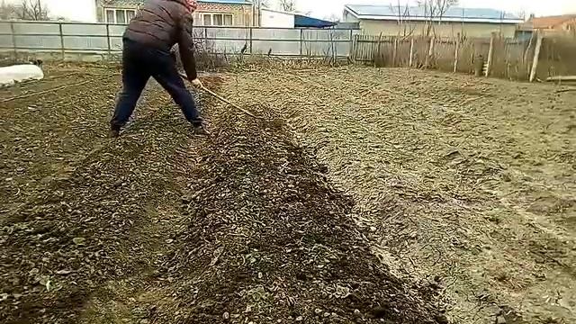 Ручной культиватор плоскорез в работе. смотреть онлайн