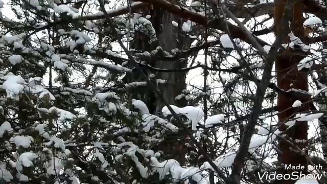 Маленький путик. смотреть онлайн