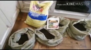 Выращивание картофеля в мешках на балконе