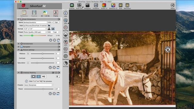 SilverFast SE tutorial Ep.3- Howto scan prints and the Epson Perfection V600/V550/GT-X830 смотреть онлайн