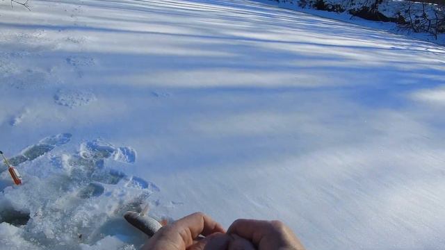 Подсек и леска зазвенела , там кто то есть смотреть онлайн