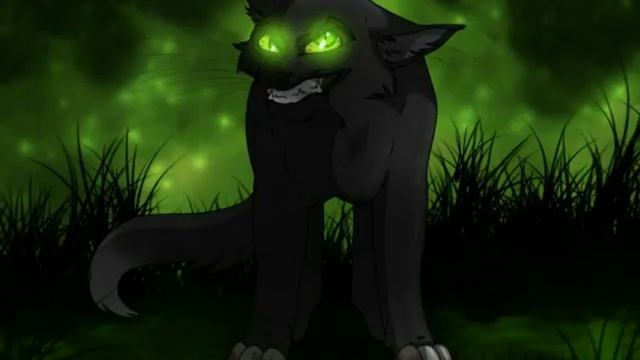 Коты воители. Остролистая смотреть онлайн