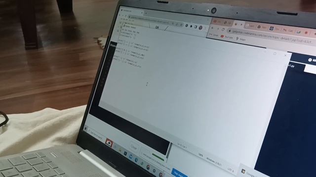 How to copy and paste in #codetantra | #copyandpaste in codetantra | Step wise #code смотреть онлайн