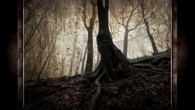 S.T.A.L.K.E.R СALL OF MISERY. #1.►ПЕРВЫЕ ДЕНЬГИ. ИСТОРИЯ ГЛЕБА. смотреть онлайн