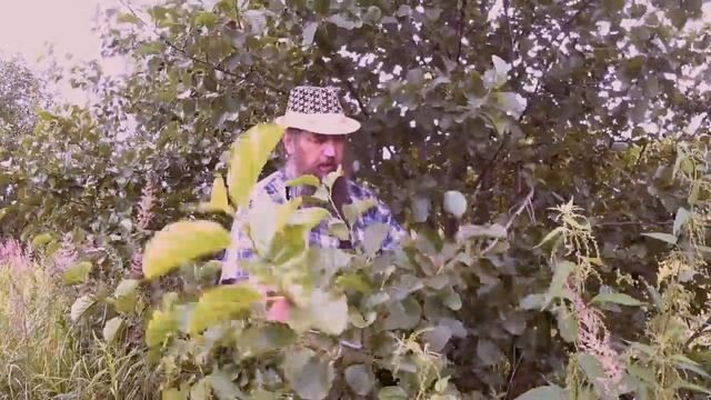 Мягкие сосуды, сердце, гроб и дубильные средства смотреть онлайн