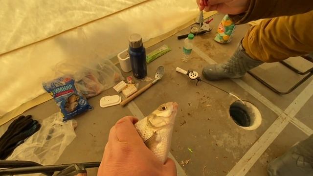 Рыбалка///Ловим больших Лещей///Рыбалка в Казахстане 2021///Рыбалка в Астане 2021/// смотреть онлайн