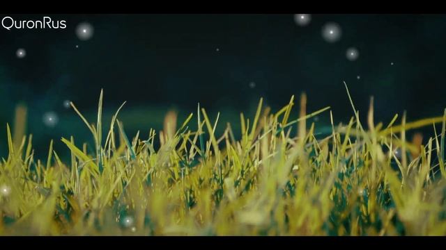 ИЗ-ЗА ЭТИХ ВЕЩЕЙ ТВОИ ДУА НЕ ПРИНИМАЮТСЯ АЛЛАХОМ, ИСПРАВЬ ИХ! смотреть онлайн