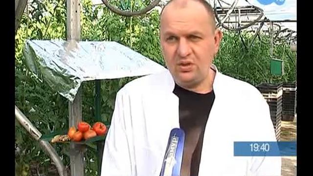 ВИТАМИННЫЙ КОКТЕЙЛЬ смотреть онлайн