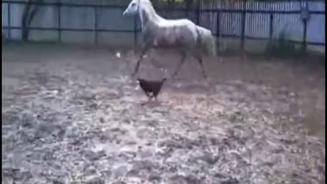 Грязевые ванны смотреть онлайн