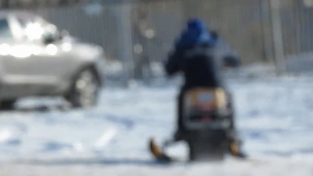 Тест снегохода Dingo T150 смотреть онлайн