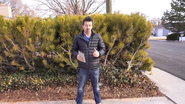 Voyager Space Shoes & Electric Skateboard | Electric Skateboard Review | Space Shoes Review | смотреть онлайн