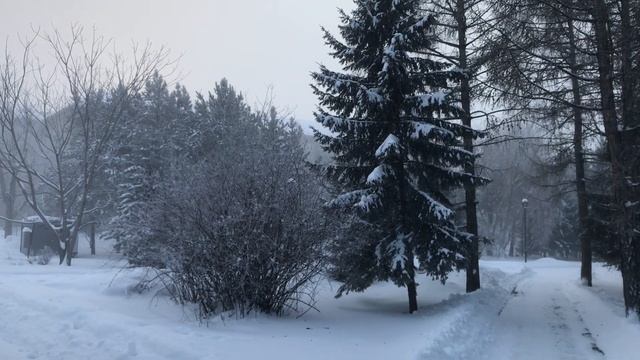 Прогулка по Новосибирску в -40, на улице красота. Сибирские аномальные морозы. Про Новосибирск. смотреть онлайн
