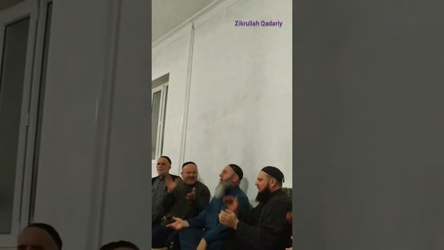 АЛИ Амиров назма Воккху Хьажи ДЕЛИ реза хила хьуна смотреть онлайн