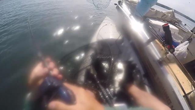 Chinook Salmon I Puget Sound Wa I Vertical Jigging I Kayak Fishing