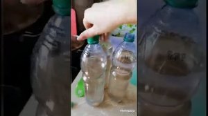 Квас домашний «берёзовый сок +изюм+Чернослив»