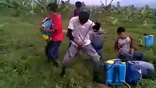 Talento de petén, guatemala смотреть онлайн
