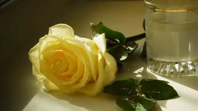 Автор ролика Виталий Тищенко (Ростов-н\Д). 100 цветочных натюрмортов Лары Гамильтон смотреть онлайн