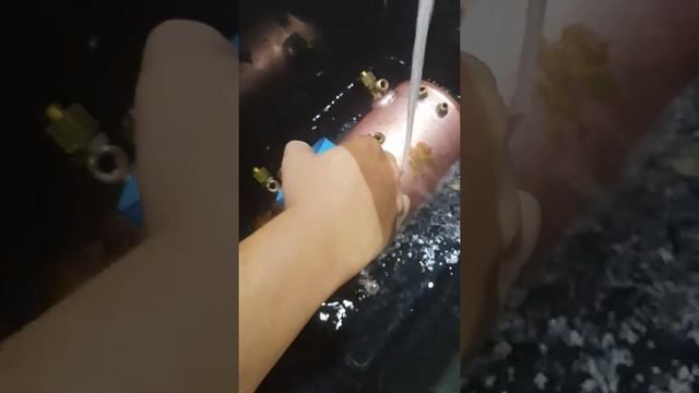 創盛咖啡之nuova SIMONELLI APPIA 2鍋爐裡你看不到的水垢，不是外表洗一洗就好了 смотреть онлайн