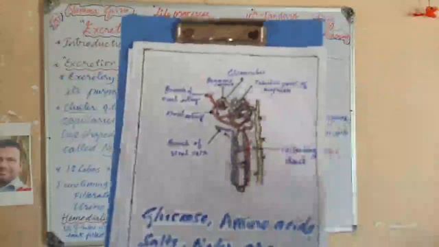 transportation system# excretory system in kannadaCbse Guruinkannada's broadcast смотреть онлайн