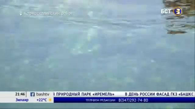 Жителям Башкирии рассказали, как отдыхать на пляжах во время пандемии смотреть онлайн