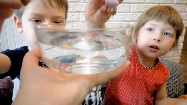 0+Игрушки/Toys. Распаковка!?Что подарить?)) Hatchimals (Хэтчимелс) ТЕМА И КАТЯ для детей! смотреть онлайн