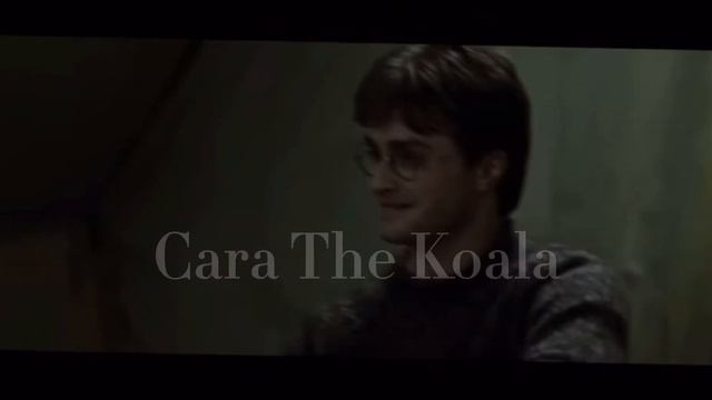 Harry and Hermione edit :) | Cara The Koala смотреть онлайн