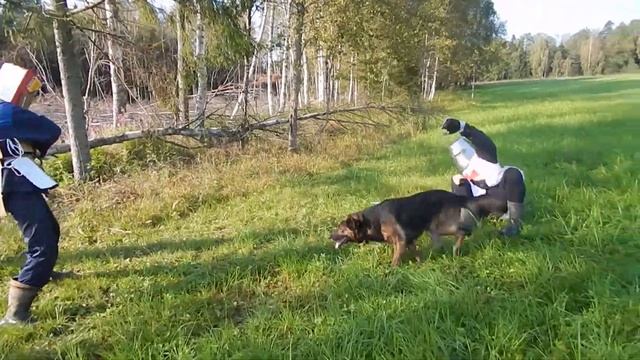 Меч крестоносца: сражение с Болотным Разбойником смотреть онлайн