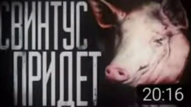 СВИНТУС ПРИДЁТ | 10 часов