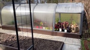 парник ТЮЛЬПАН мини