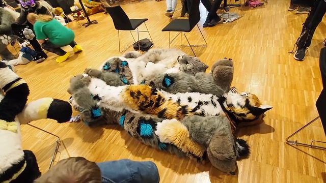 Paws & Cuddle Extravaganza: 80 Minutes * Paws & Cuddle at NORDIC FUZZCON 2023 furries,fursuiter,fur смотреть онлайн