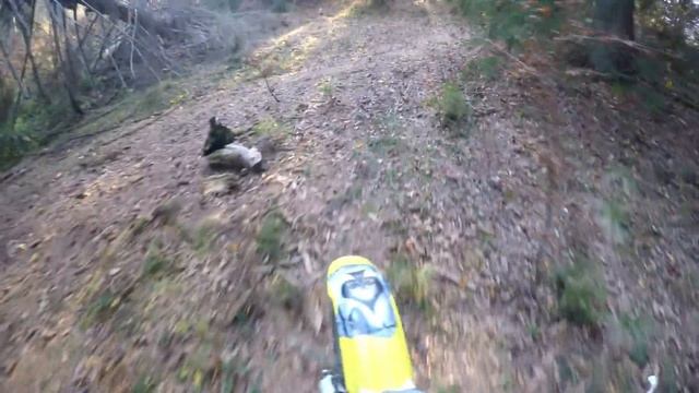 GoPro-Enduro Brasov/ Suzuki Rmz 250 смотреть онлайн