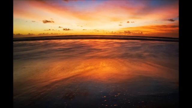 Music Designed For Dogs - Help Keep Your Pet Calm And Relaxed With No Crying!