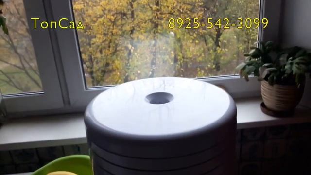 Как приготовить ПАСТИЛУ из ВИНОГРАДА и БАНАНОВ? ТопСад!. смотреть онлайн
