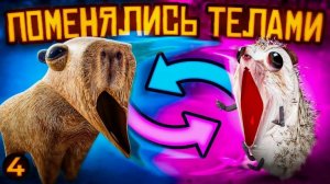 Ты капибара или ёж? | Блоптоп