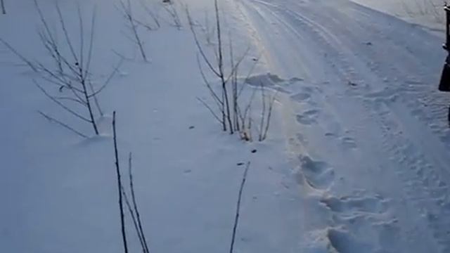 Первая поездка на сненегоходе ямаха викинг смотреть онлайн