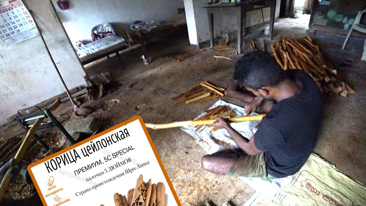 ВСЯ ПРАВДА про КОРИЦУ / Шри Ланка смотреть онлайн