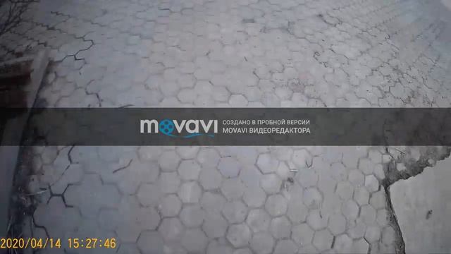 24часа без телефона челлендж! смотреть онлайн