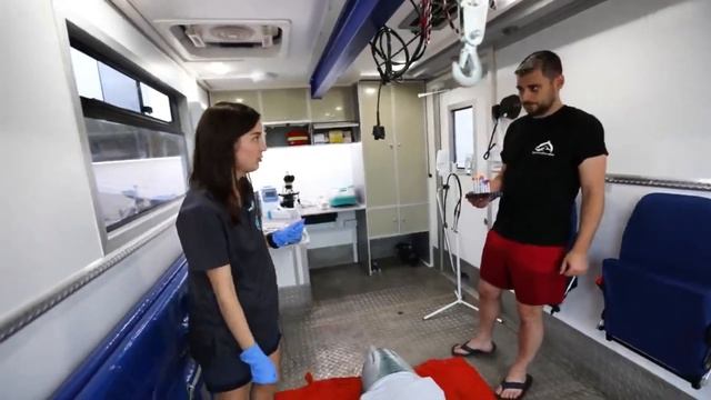 Профессия волонтер. Экологика. смотреть онлайн