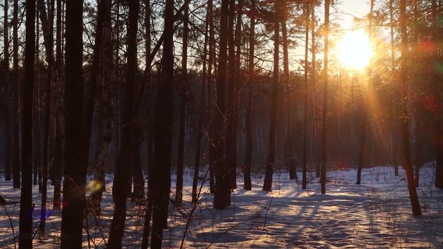 Красивая расслабляющая музыка - Остановите обдумывание, снятие стресса, музыка, музыка, успокаивающ