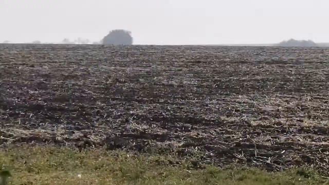 Принесло дым от пожаров в Днепропетровскую обл. Все в дыму, воняет, дышать нечем!!! смотреть онлайн