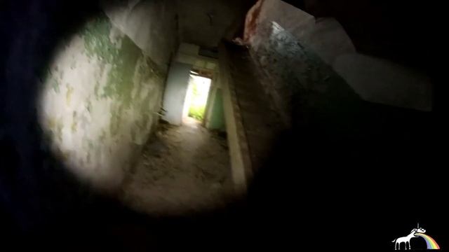 Крапивный залаз. Старинная усадьба #сталк #усадьба смотреть онлайн