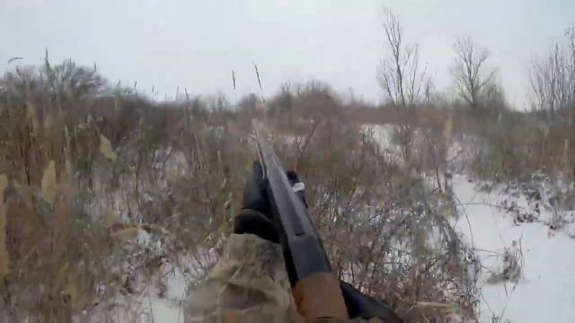 Первая охота на фазана, по снегу, 2016 First pheasant hunting, snow, 2016 смотреть онлайн