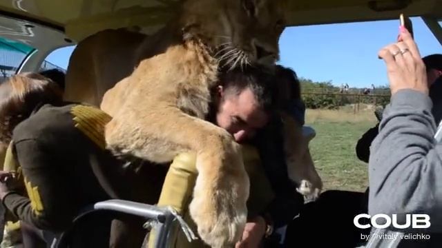 1608981839_looped_1608981838.mp4 смотреть онлайн