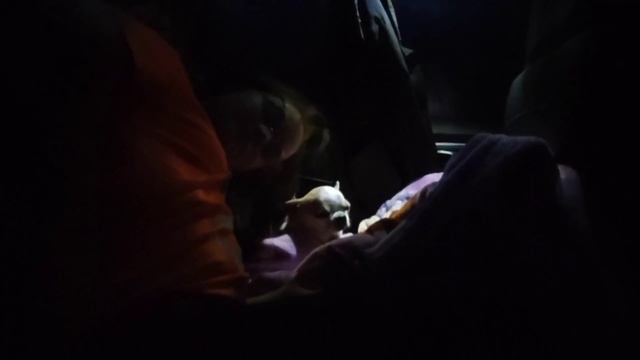 VLOG :едем в Санкт-Петербург на машине смотреть онлайн