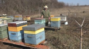 леток на юг или на север?