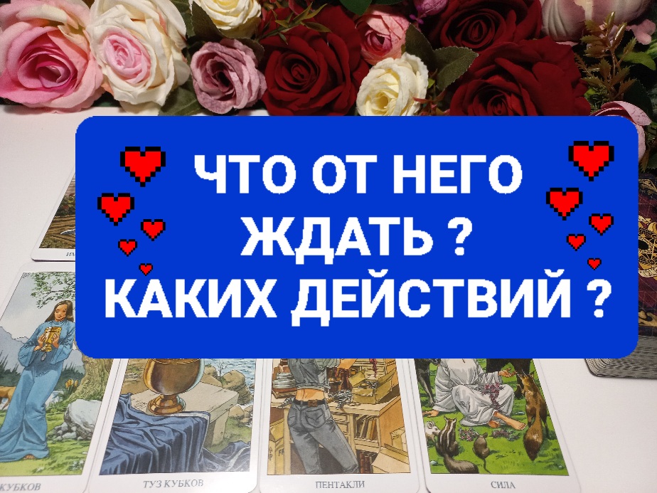 ЧТО ОТ НЕГО ЖДАТЬ.КАКИХ ДЕЙСТВИЙ.