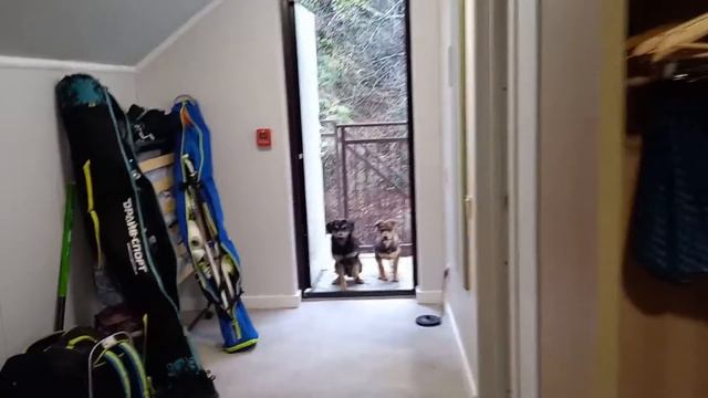 Кто к нам пришел? смотреть онлайн