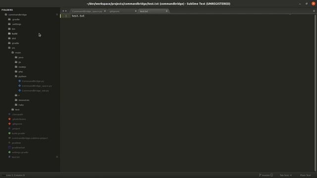 Sublime Merge로 git 관리하기 смотреть онлайн